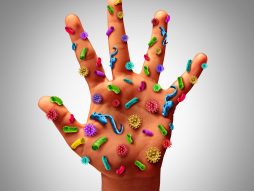 mikroorganizmi na ruci