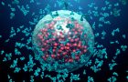 covid 19-korona virus-antitela