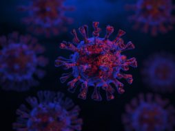 covid 19-infekcija-korona virus