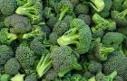 brokoli- superharan-vitamini-minerali