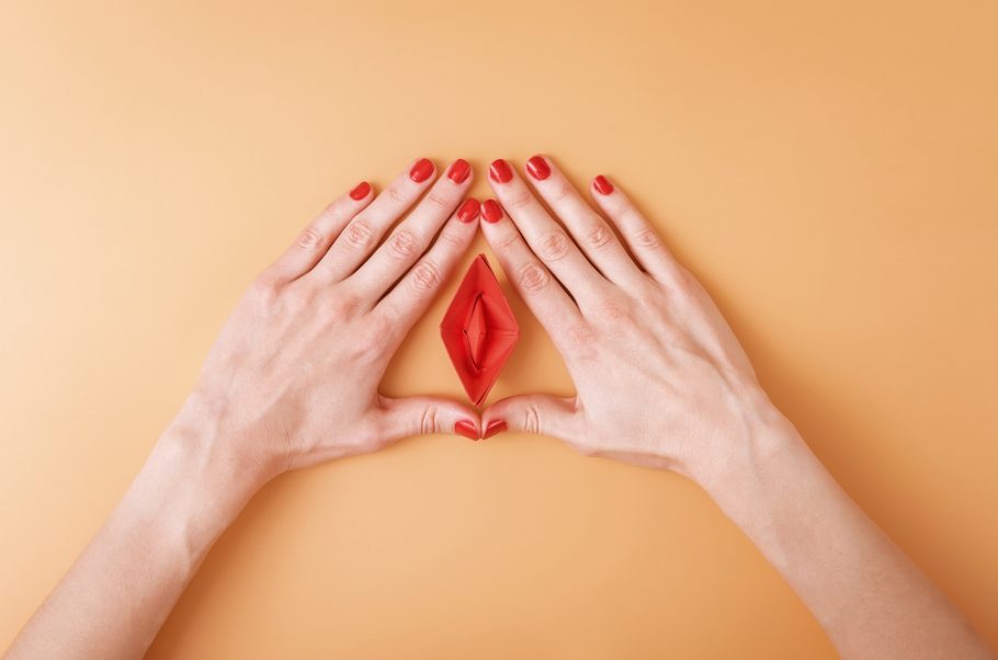 Vulva, vagina