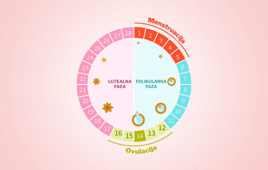 mentsruacija- menopauza-promena ciklusa