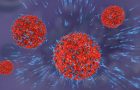 antitela- napada na virus- odbrana organizma -autoimune bolesti