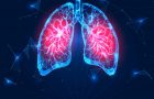 pluća, bronhije, alveole