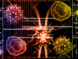 herpes simpleks- herpes meningitis