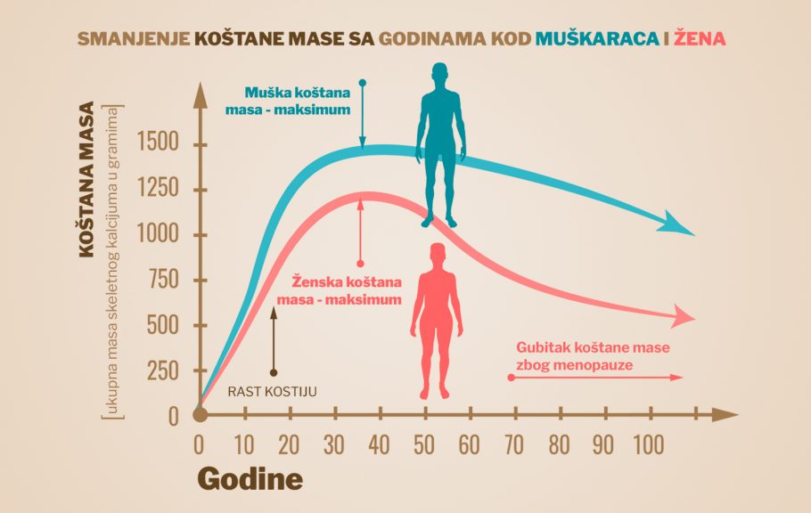 kosti- čvrtsina- gustina -masa