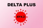 delta plus soj - covid 19