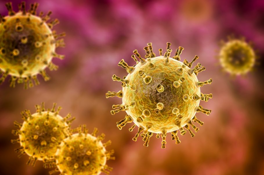 Virus varičela herpes zoster