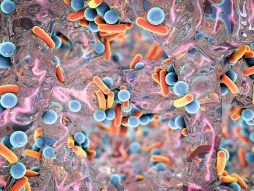 Otpornost bakterija na antibiotike