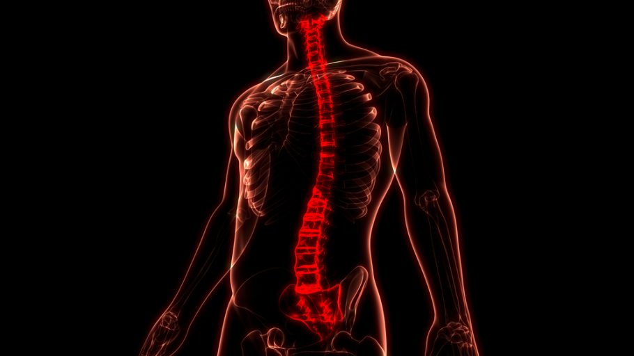 implantat kičmene moždine