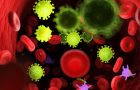 virusi i bakterije