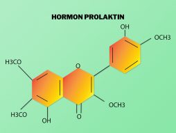 prolaktina