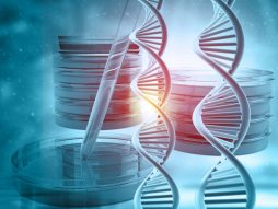Skrining prilagođen genetici