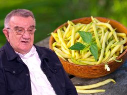 Žuta boranija prof dr Vojislav Perišić