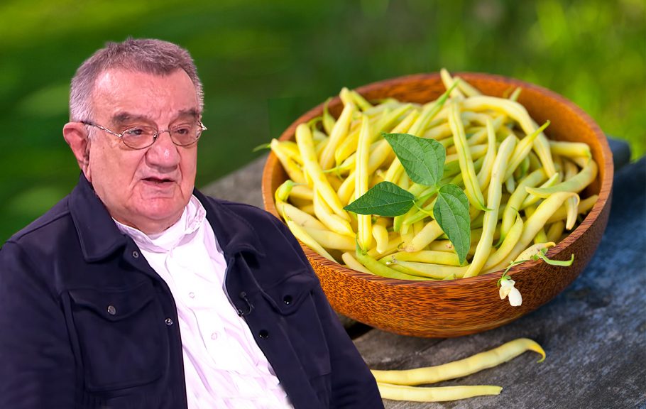 Žuta boranija prof dr Vojislav Perišić
