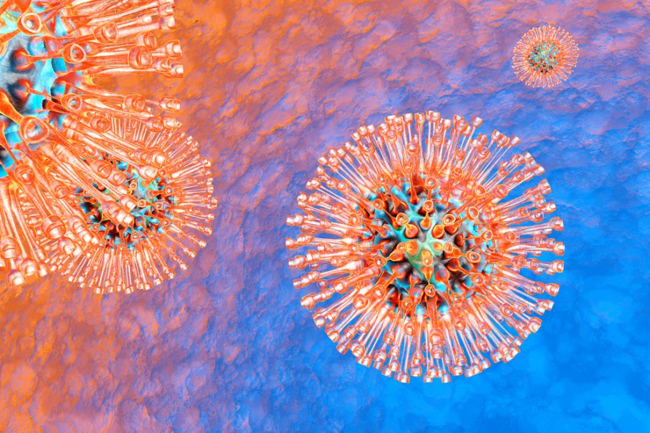 herpes virus